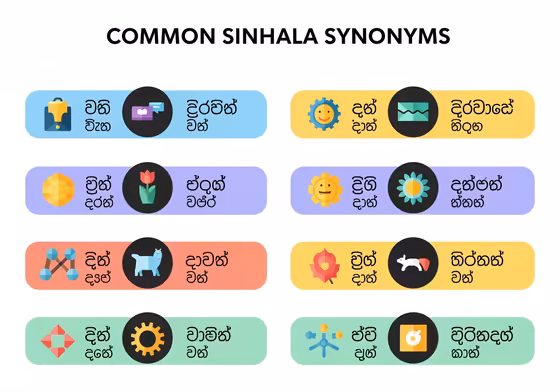 A visually engaging infographic showcasing several common Sinhala synonyms with icons.